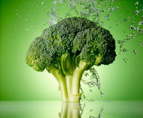 多种植物提取物如何凸显抗癌神效