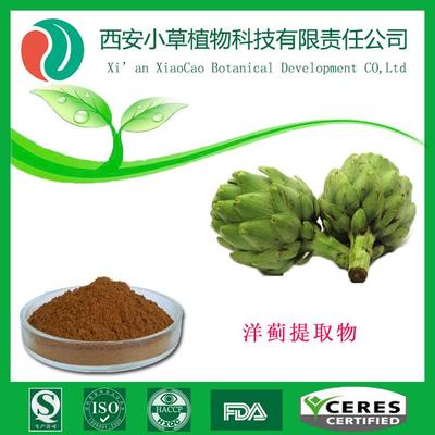 洋蓟提取物洋蓟素生产厂家现货直供价格 品牌:西安小草 西安小草
