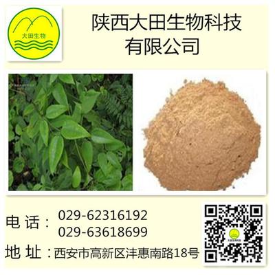 供应威灵仙提取物 植物提取物