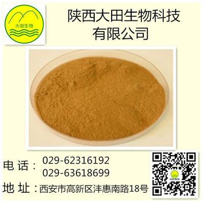 供应野菊花提取物 植物提取物