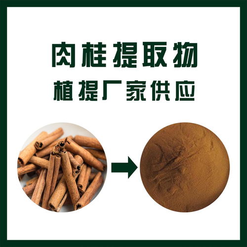 威海肉桂提取物厂 牡桂提取物 植物提取物