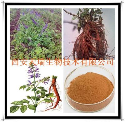 丹参提取物