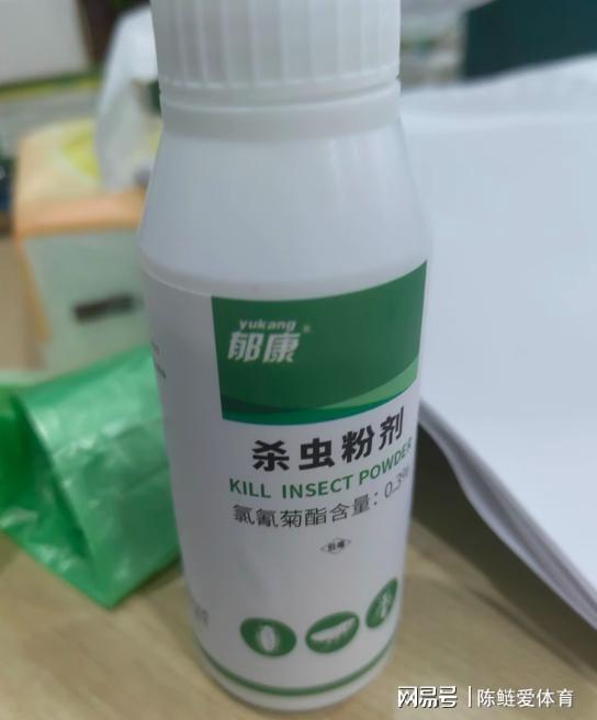 家里有潮虫怎么办？植物提取物助你彻底清除