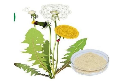 植物提取物加盟 费用构成、盈利前景与开店成本解析