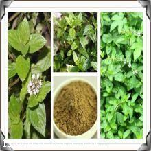 猫薄荷提取物与速溶粉全解析 沃特莱斯生物的价格与植物提取物概述