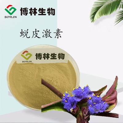 蜕皮激素的天然宝库 露水草提取物及其应用价值