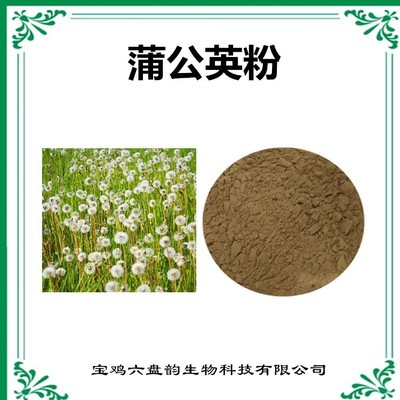 蒲公英速溶粉 天然植物提取物的营养瑰宝