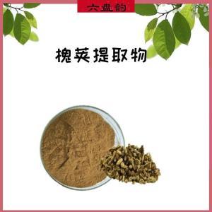 槐角提取物 植物提取物的多功能应用与前景