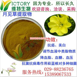 月见草提取物限时促销，西安维特生物科技为您带来纯正植物精华