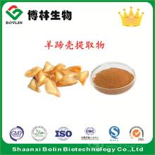 紫河车与羊胎盘素 传统与现代交融的天然健康选择