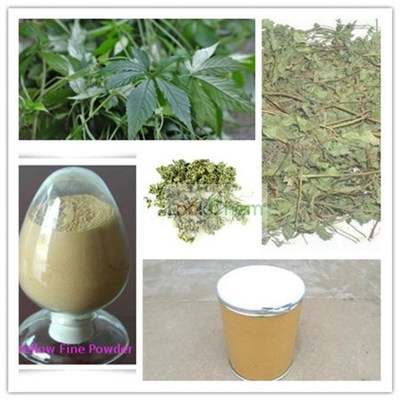 绞股蓝提取物 探索绞股蓝总皂苷的多样规格与应用潜力